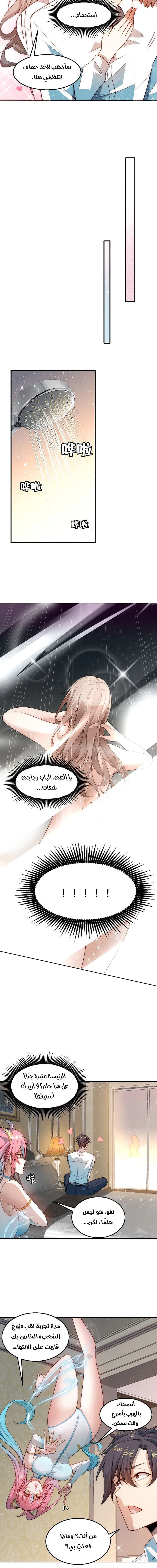 Chapter Image 4