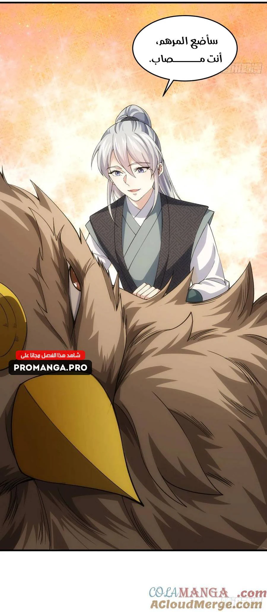 Chapter Image 11