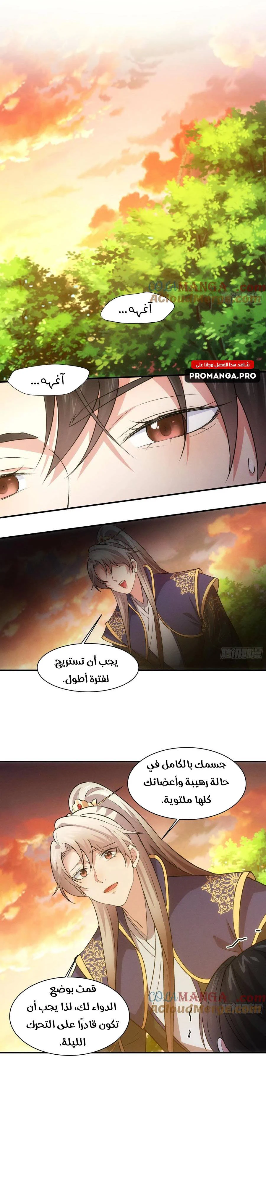 Chapter Image 2