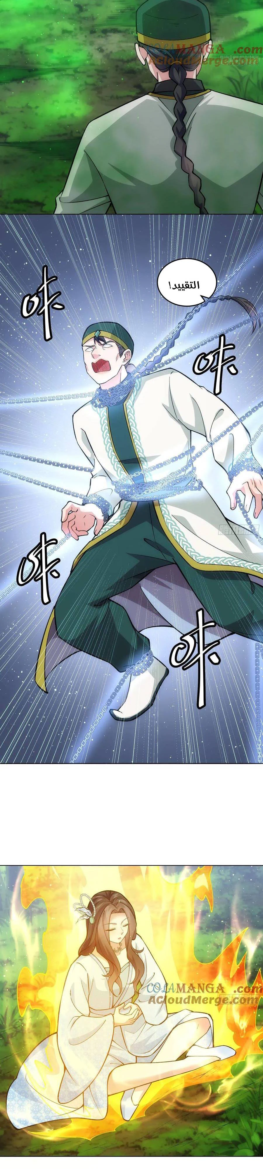 Chapter Image 17