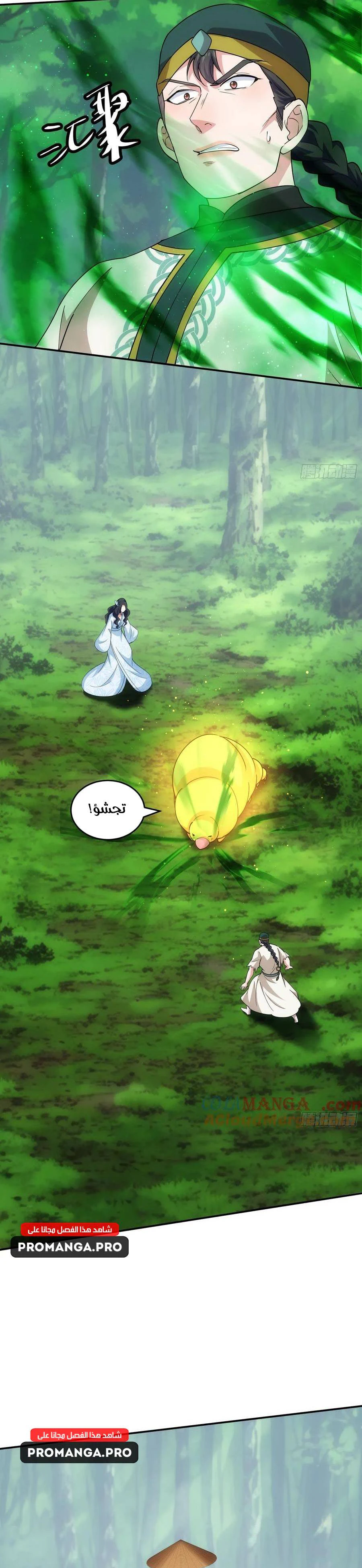 Chapter Image 11