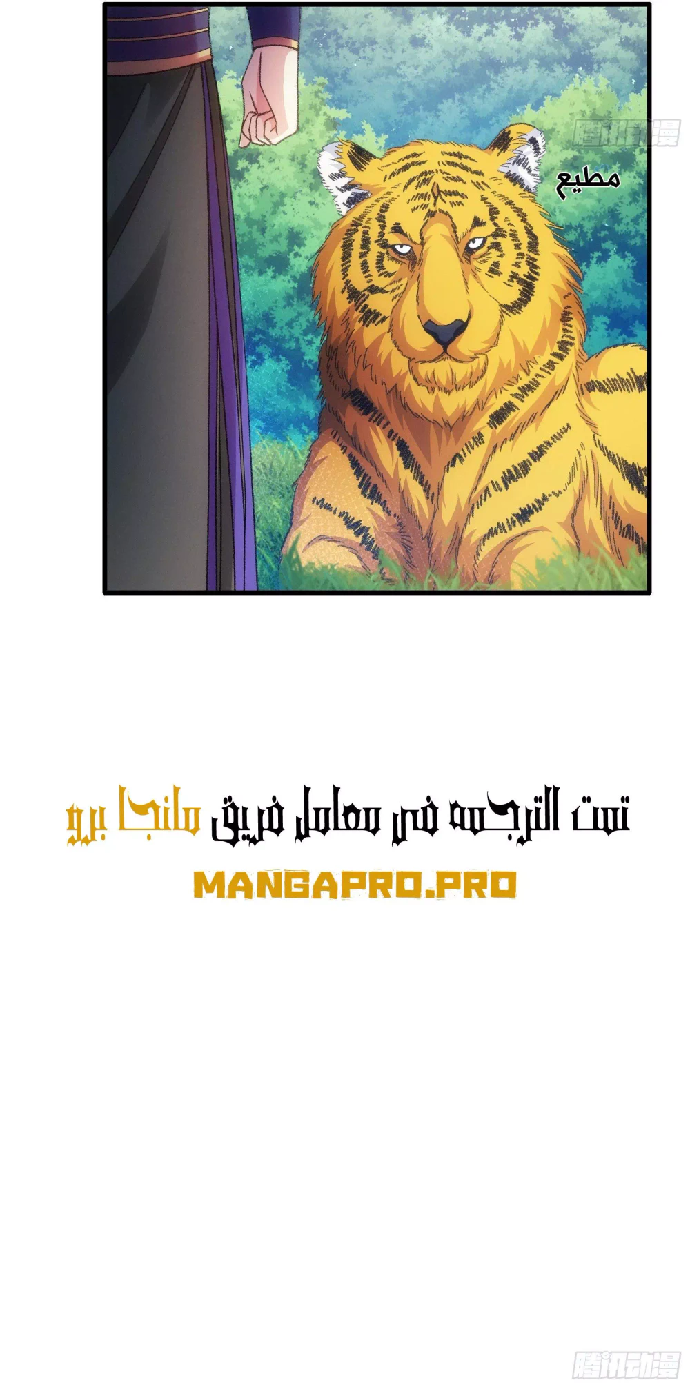 Chapter Image 9
