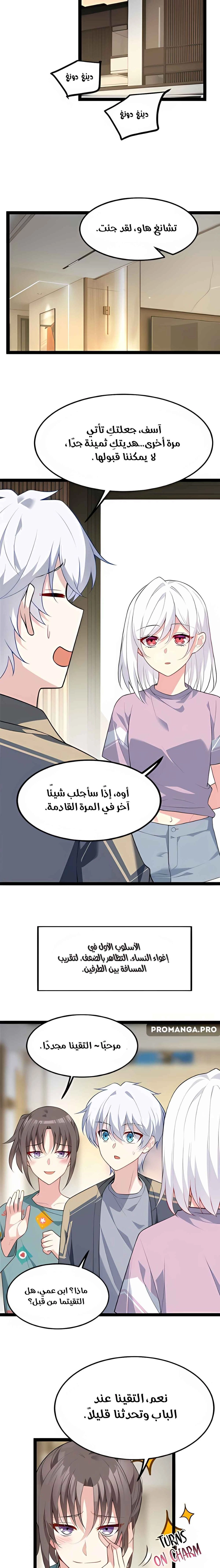 Chapter Image 4