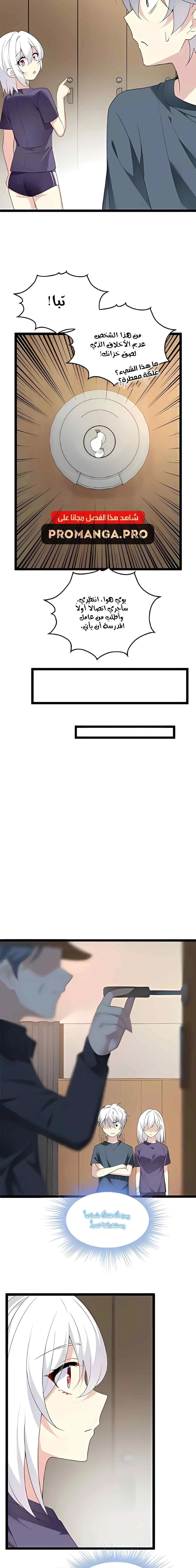 Chapter Image 4