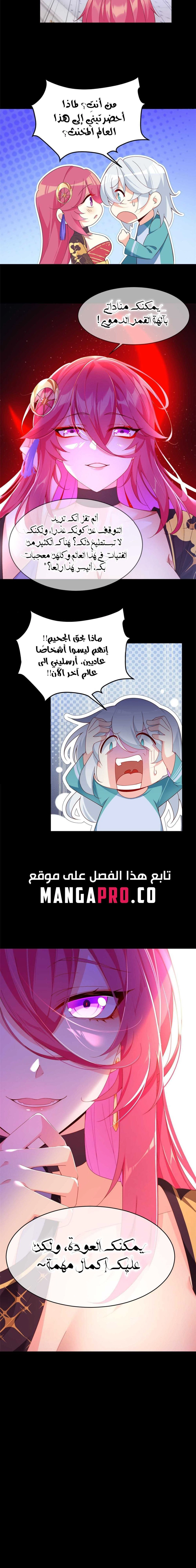 Chapter Image 5