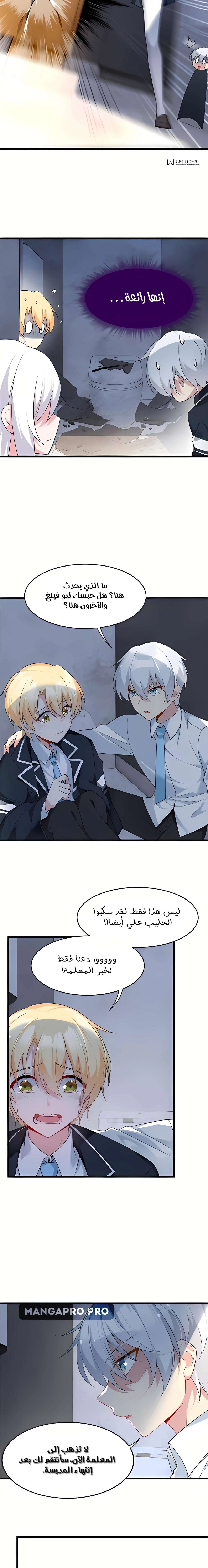 Chapter Image 4