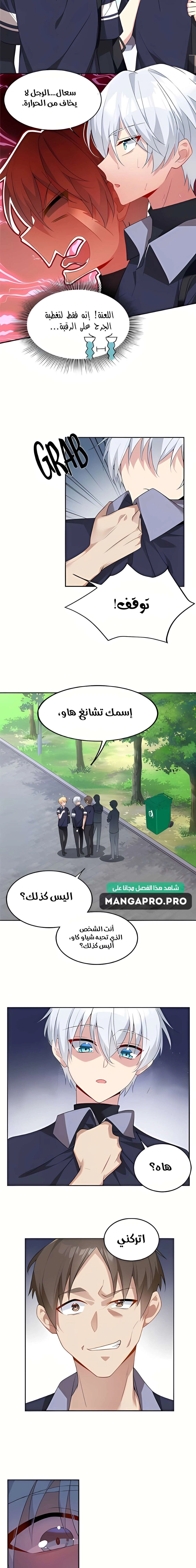 Chapter Image 4