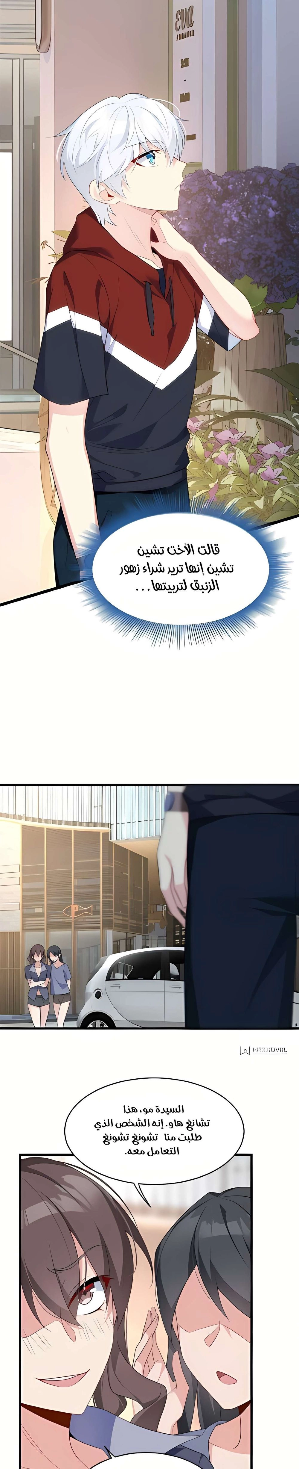 Chapter Image 2