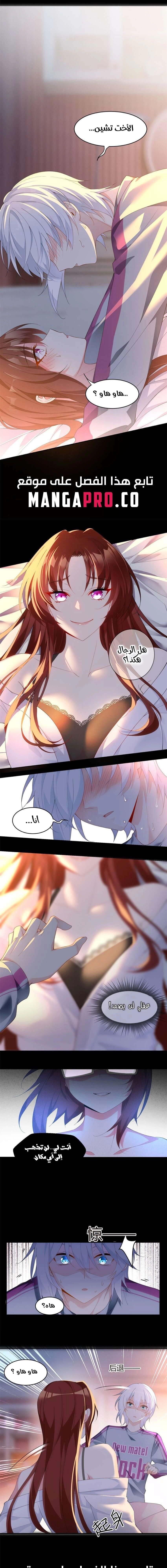 Chapter Image 5
