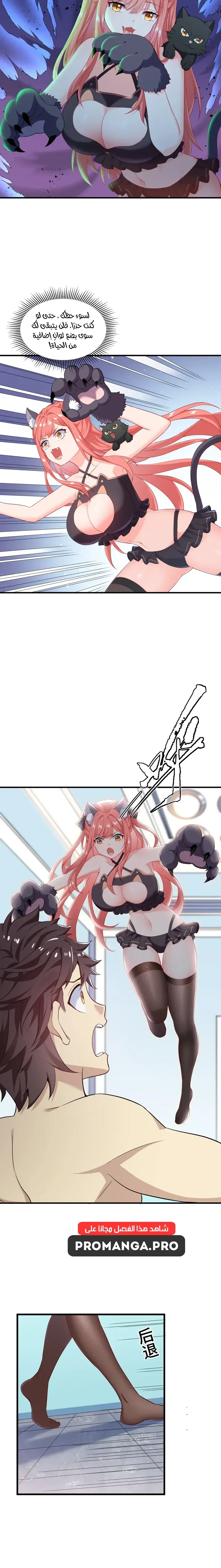 Chapter Image 7