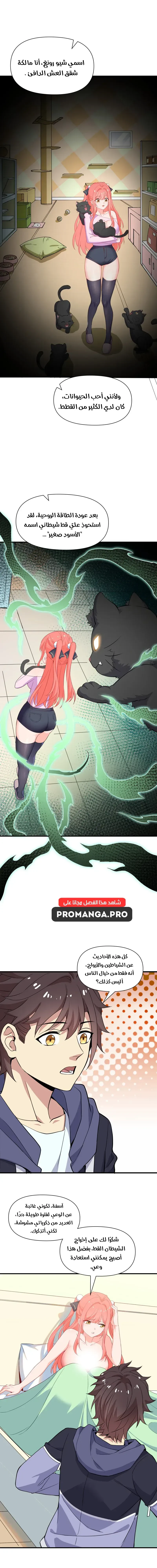 Chapter Image 13