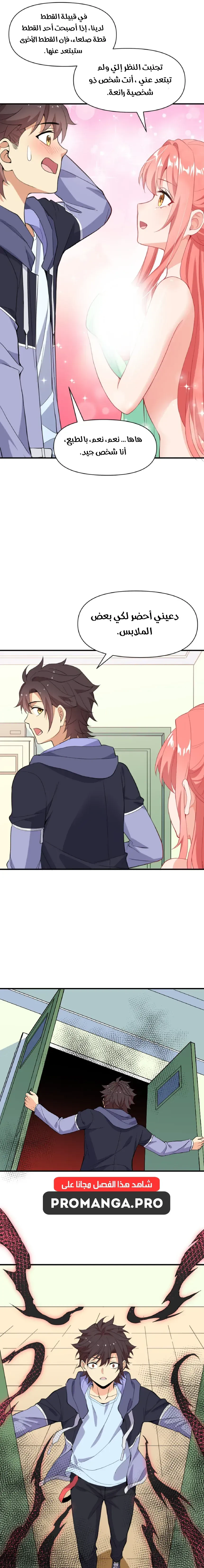 Chapter Image 5