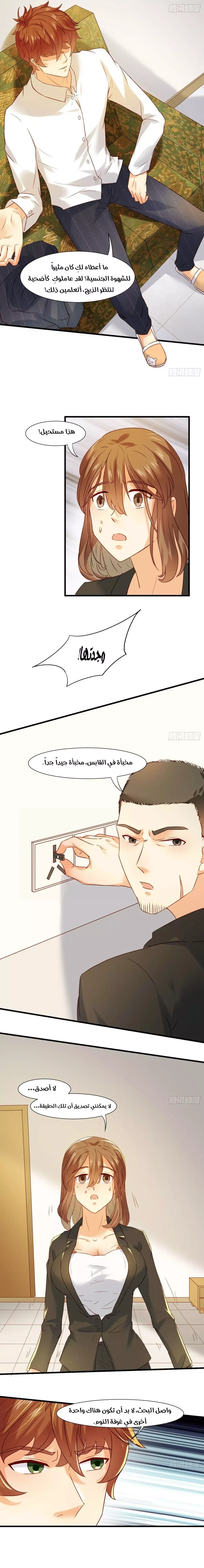 Chapter Image 5