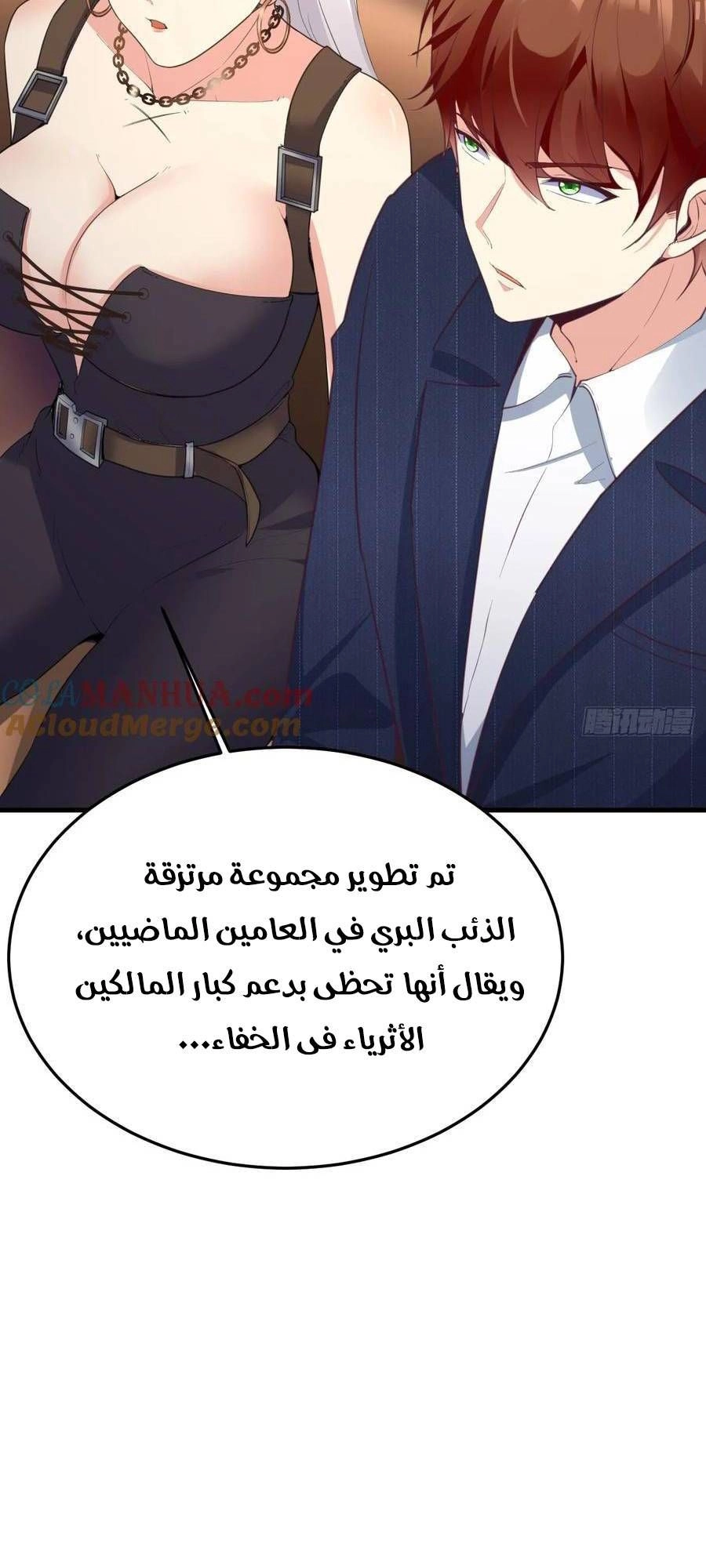 Chapter Image 4