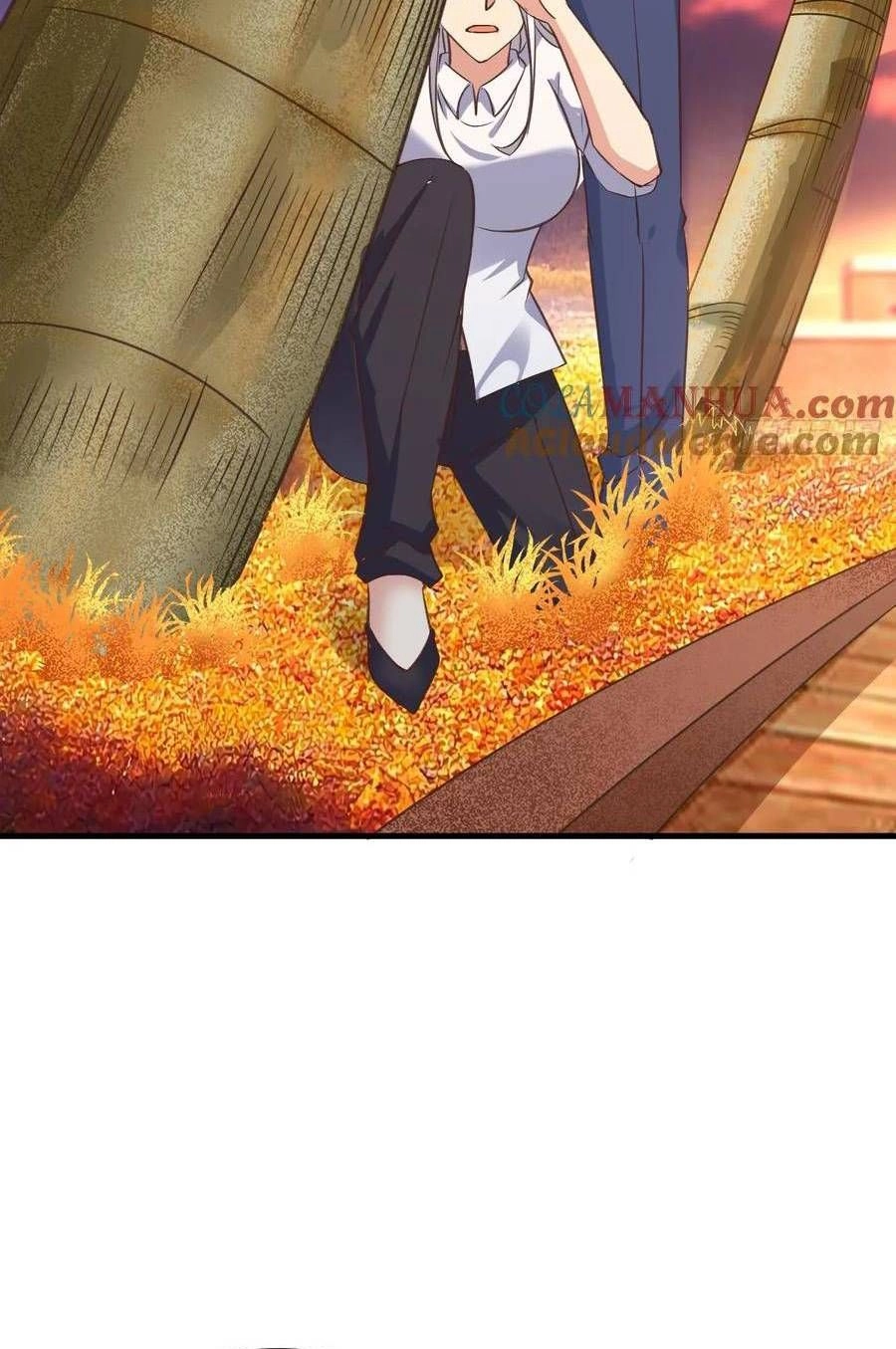 Chapter Image 6