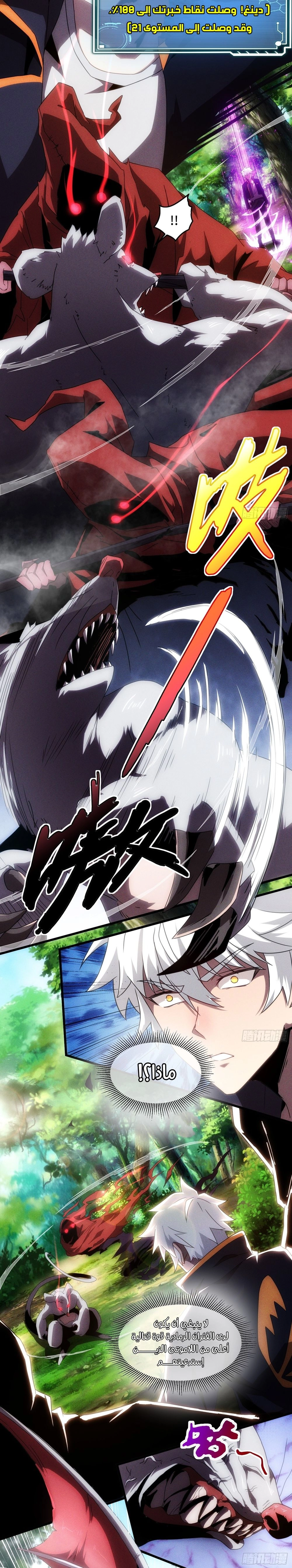 Chapter Image 5