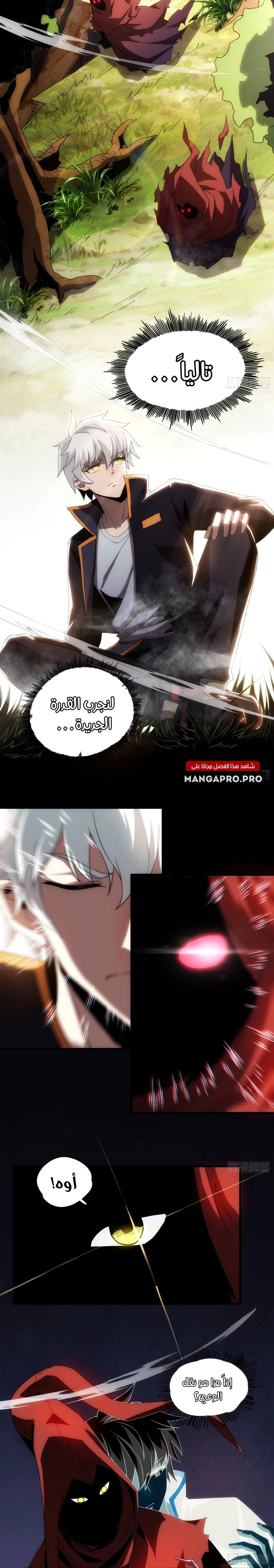 Chapter Image 4