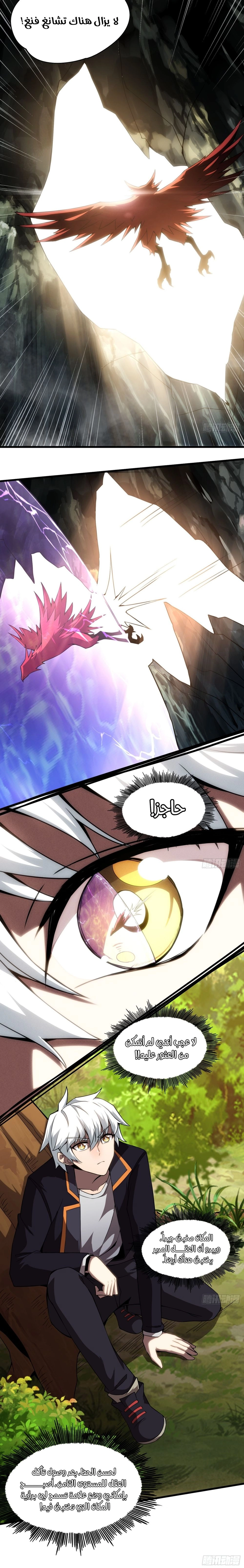 Chapter Image 9