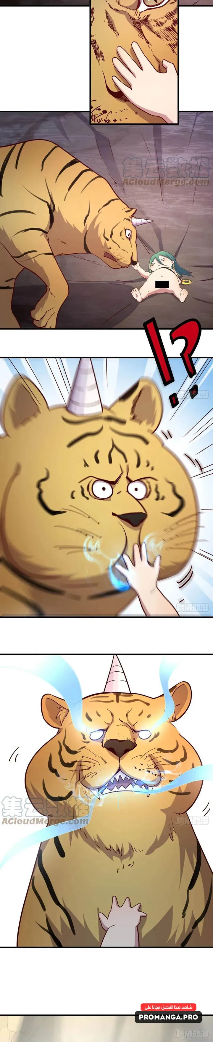 Chapter Image 4