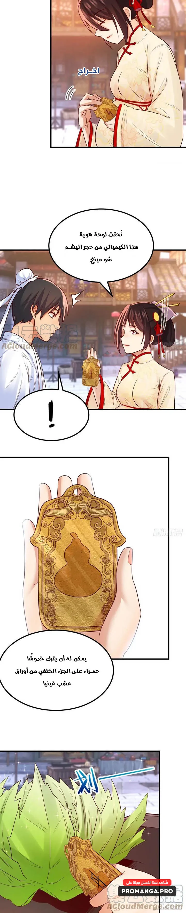 Chapter Image 4