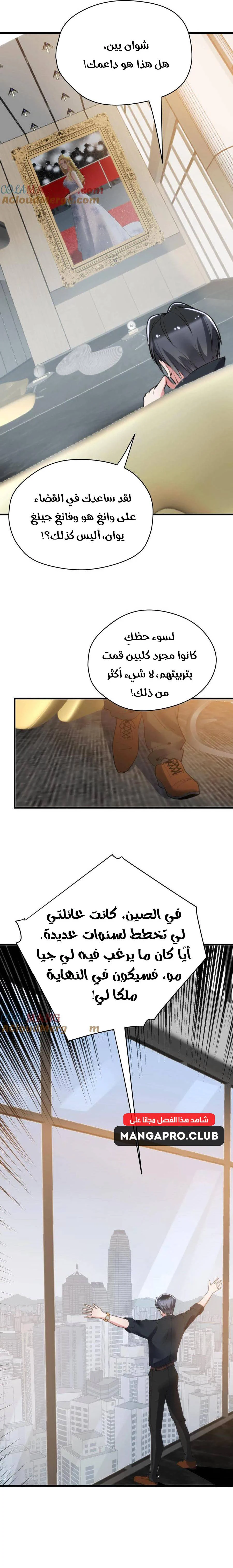 Chapter Image 11