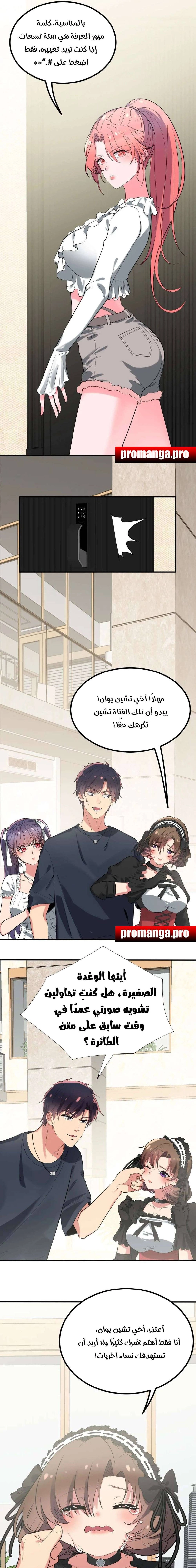Chapter Image 4