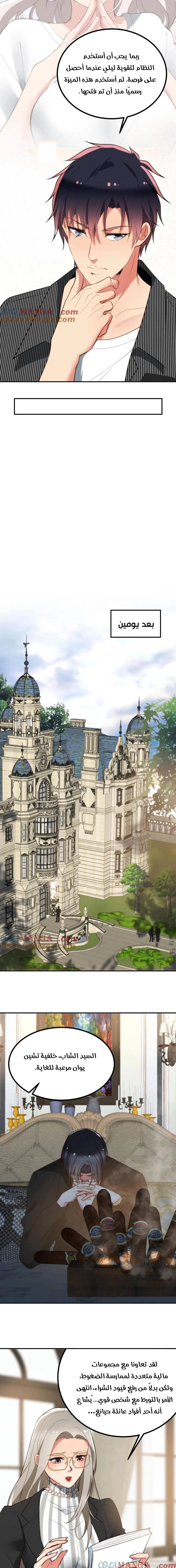 Chapter Image 3