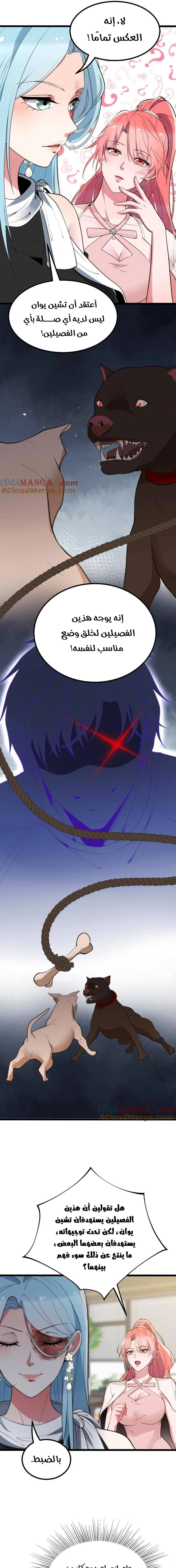Chapter Image 5