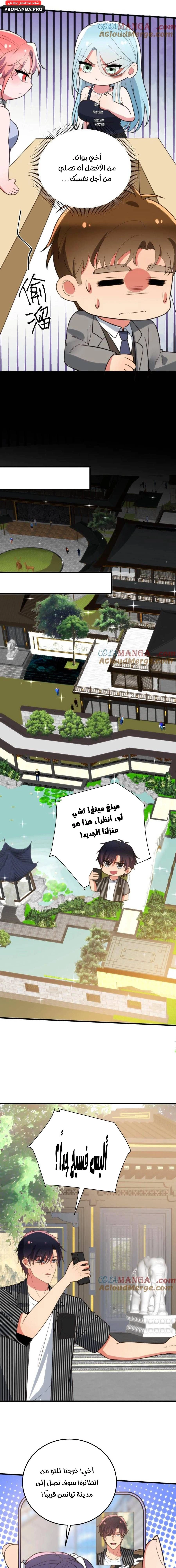 Chapter Image 5