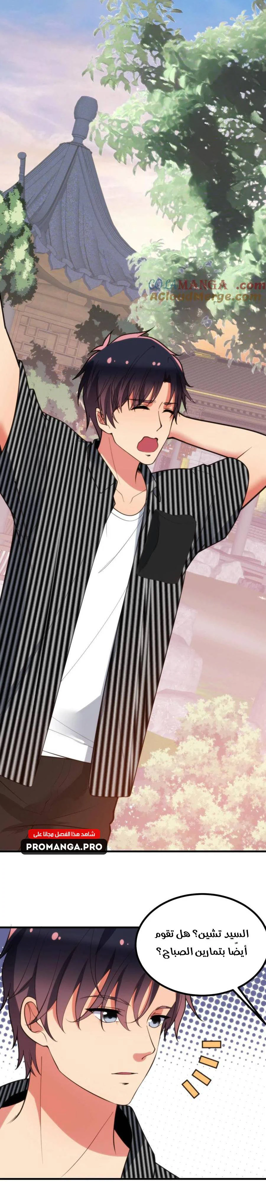 Chapter Image 2