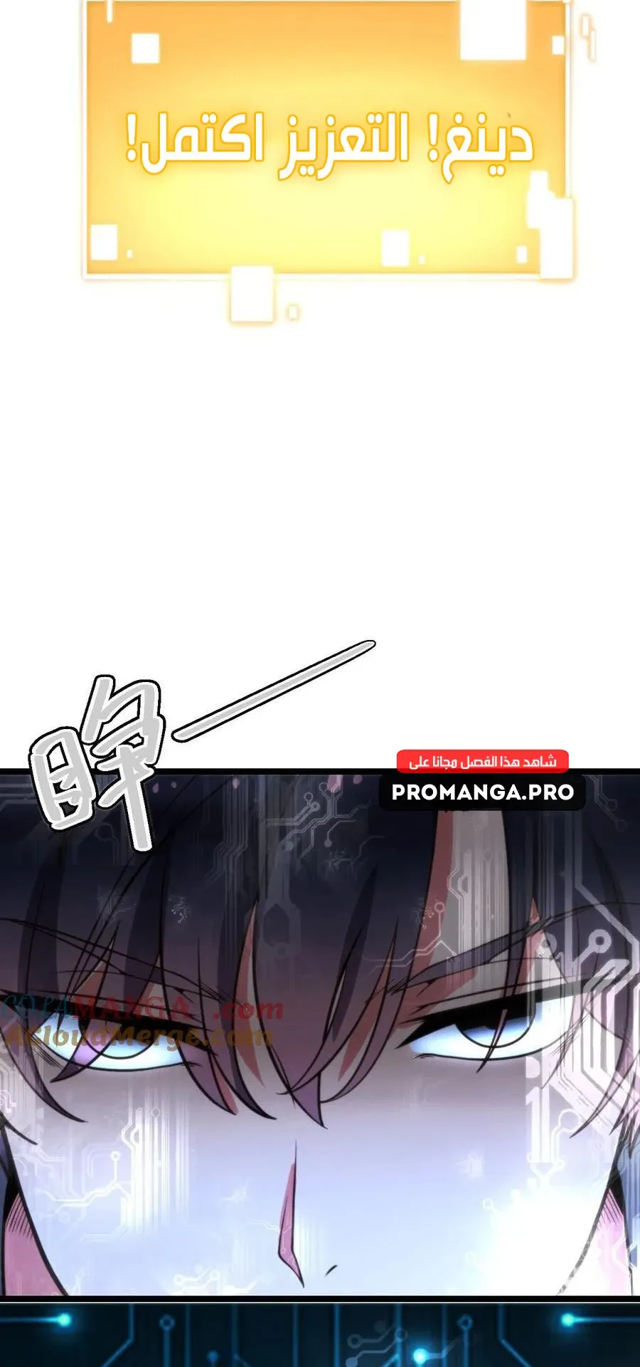 Chapter Image 11