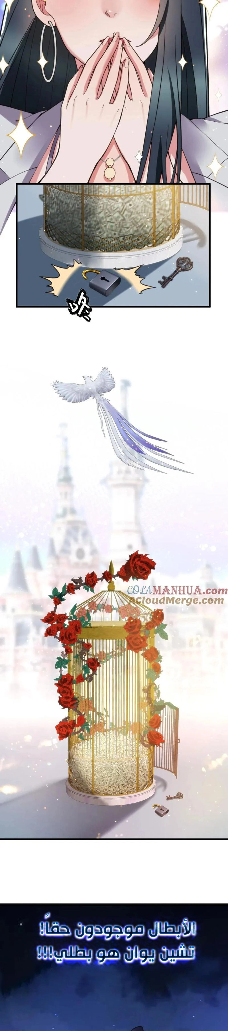 Chapter Image 2