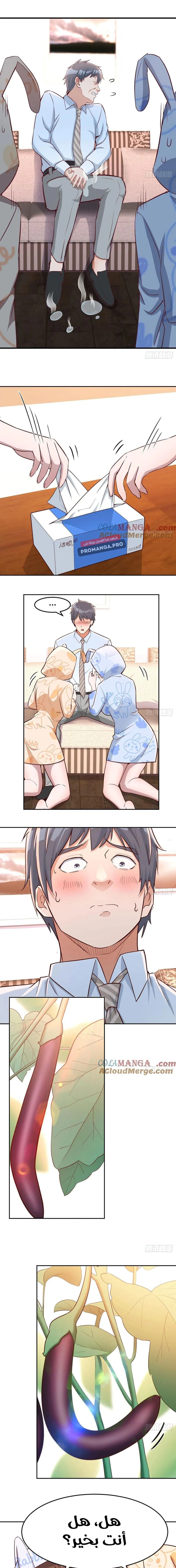 Chapter Image 4