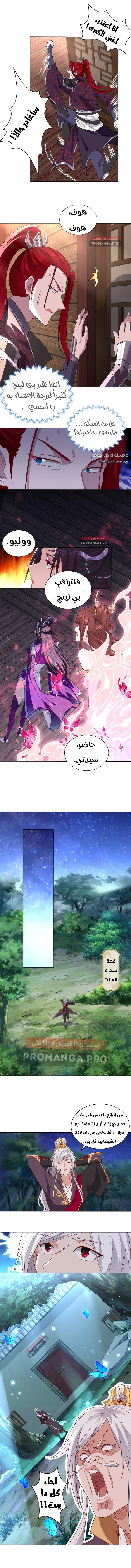 Chapter Image 3