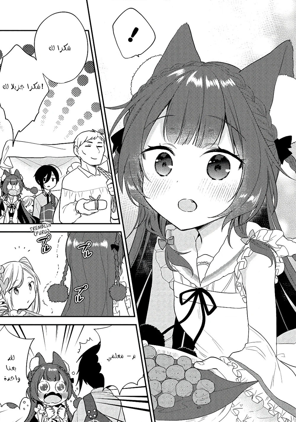 Chapter Image 13