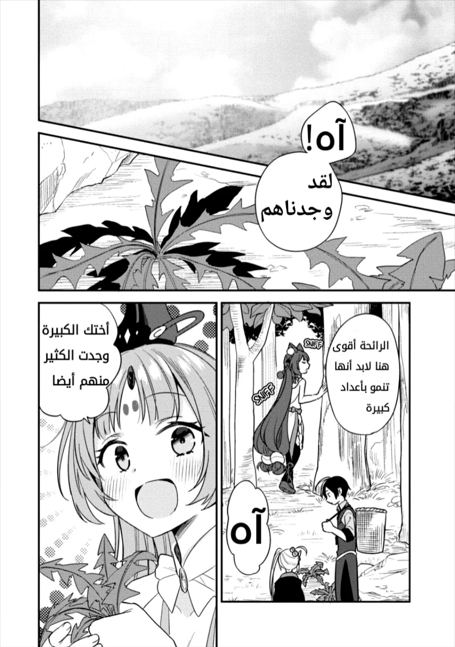 Chapter Image 4
