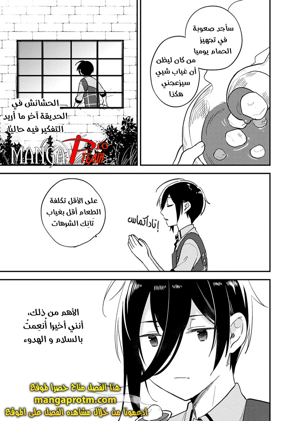 Chapter Image 13