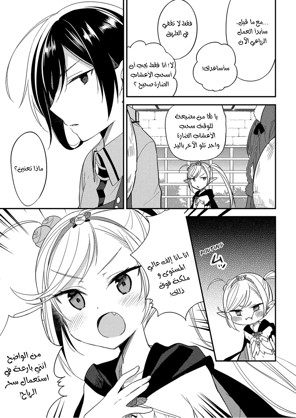Chapter Image 4