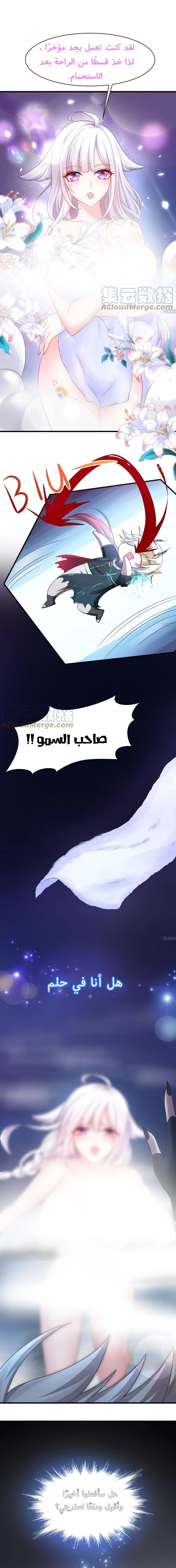 Chapter Image 17