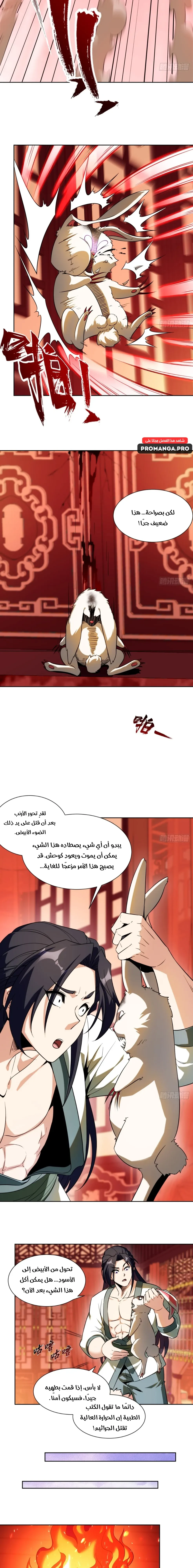 Chapter Image 5