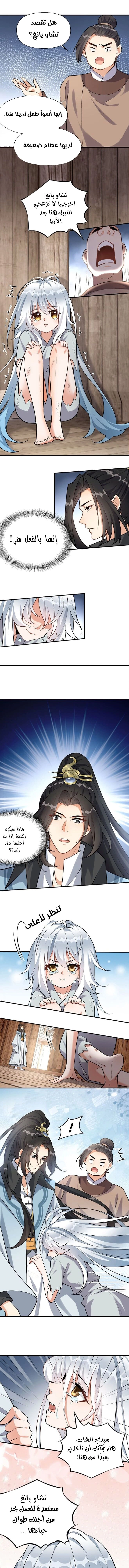 Chapter Image 6