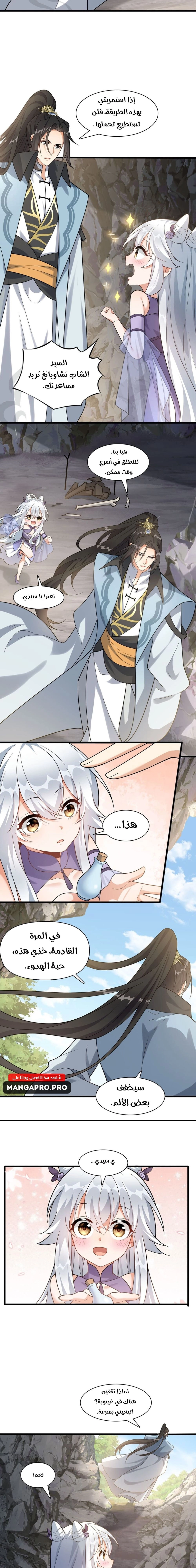 Chapter Image 7