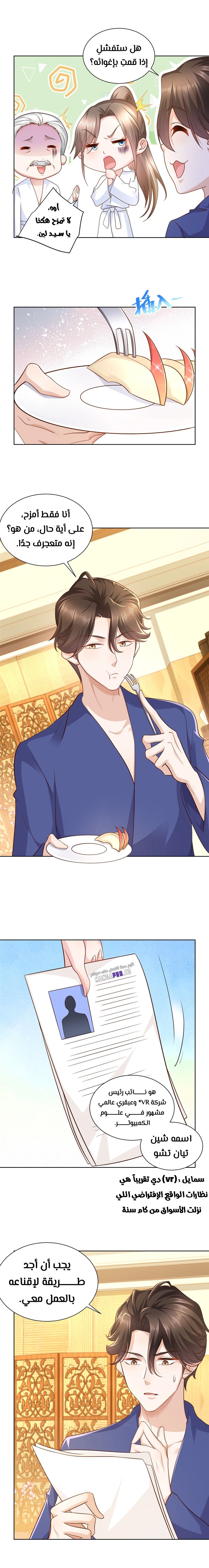 Chapter Image 3