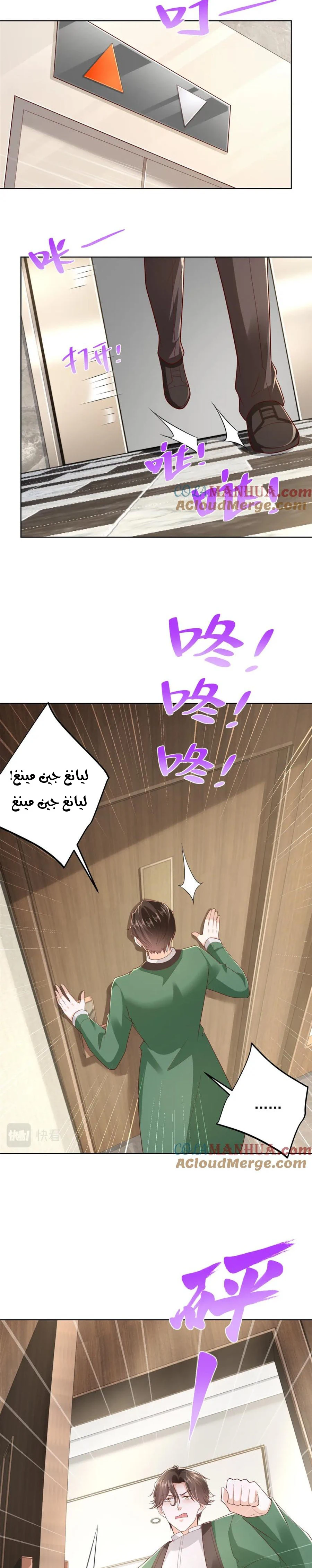 Chapter Image 2