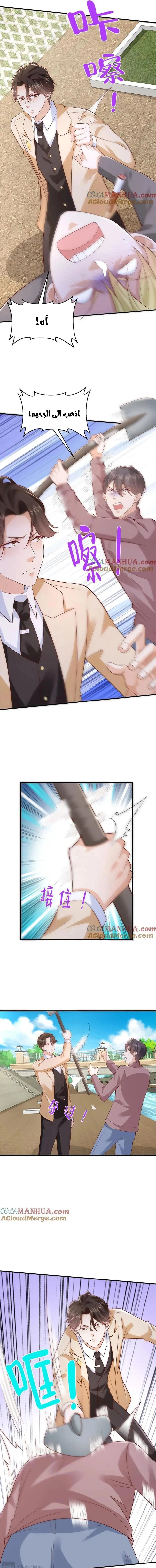 Chapter Image 3