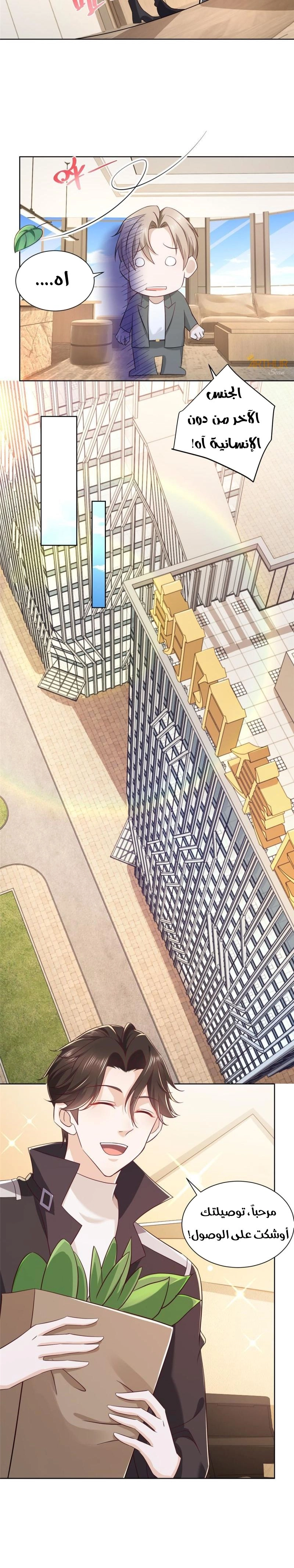 Chapter Image 4