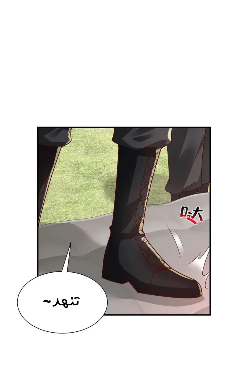Chapter Image 12