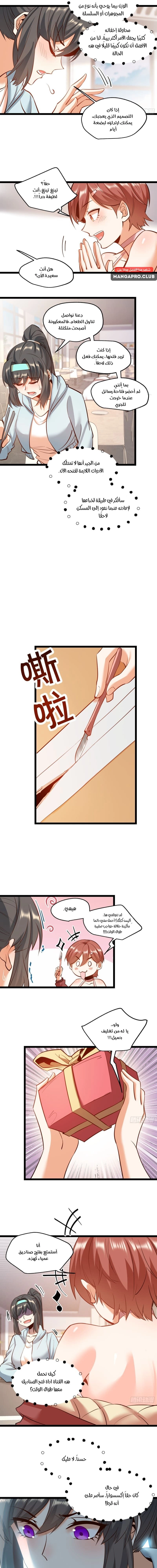 Chapter Image 5