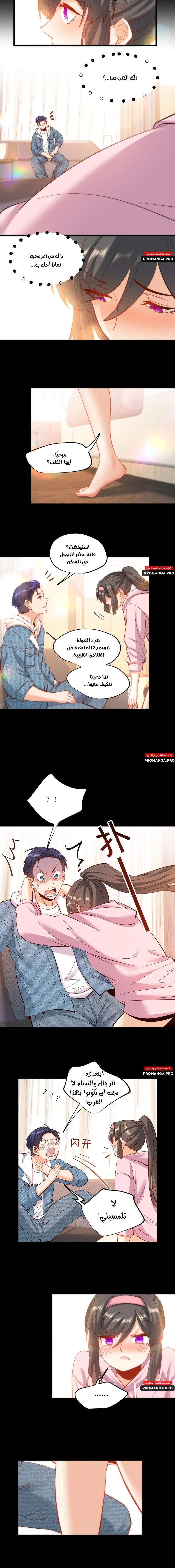 Chapter Image 4