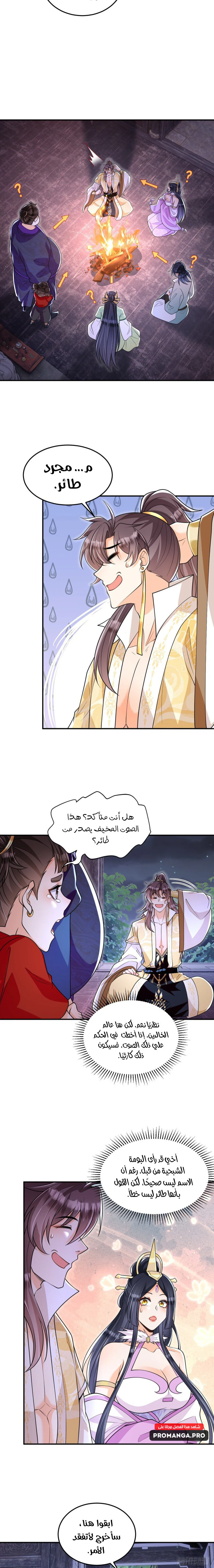 Chapter Image 4
